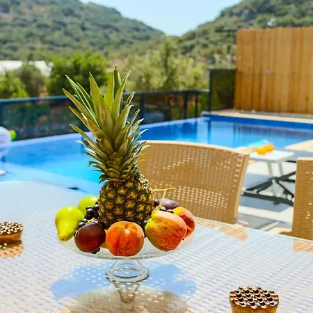 Hueseyin Villa